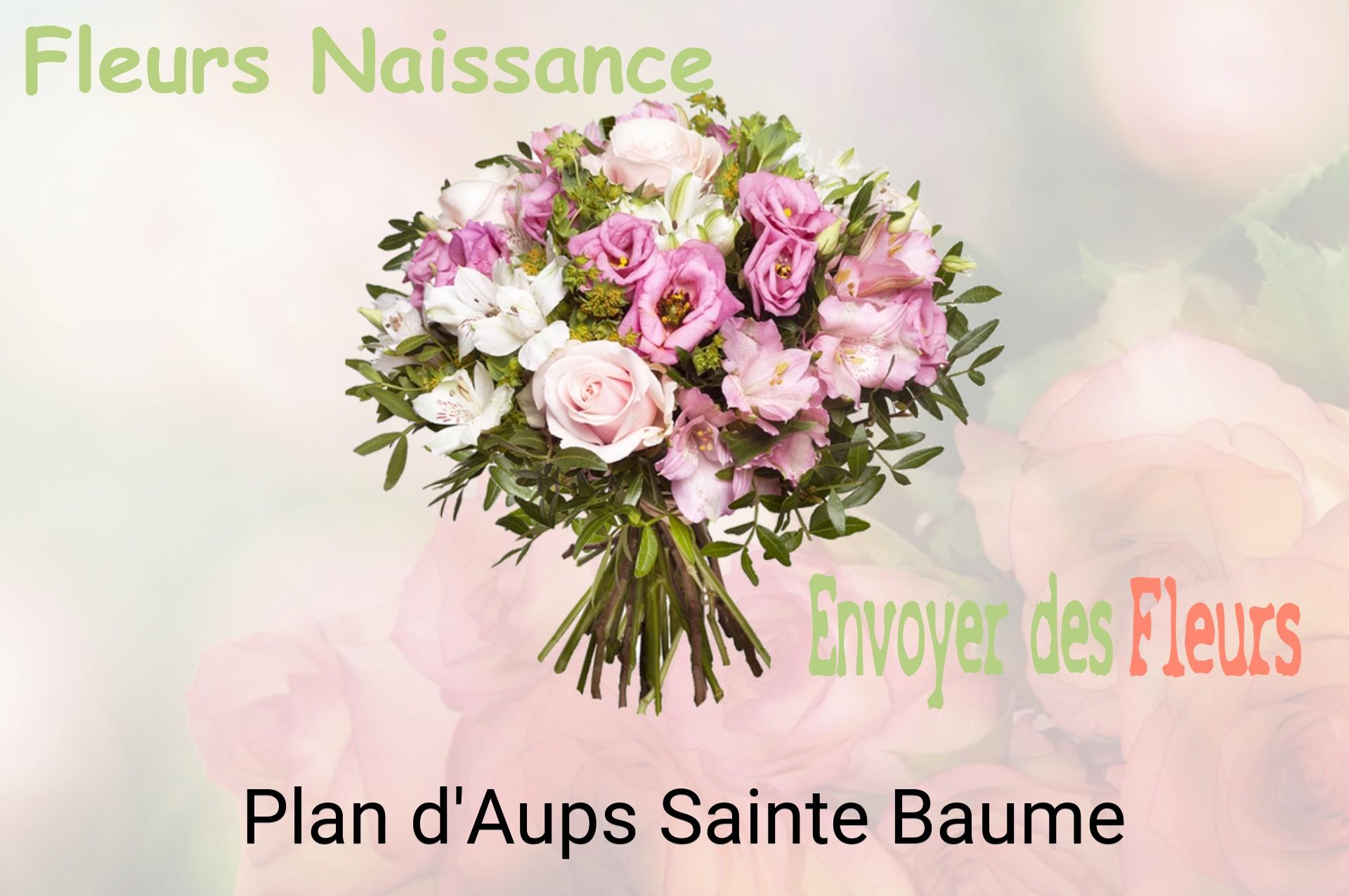 Bouquet de fleurs de naissance livré à Plan-d'Aups-Sainte-Baume