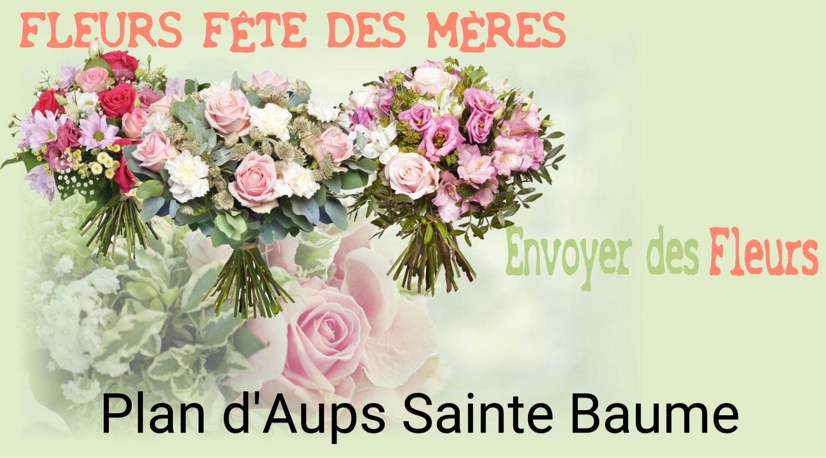 Bouquet de Fête des Mères livré à Plan-d'Aups-Sainte-Baume